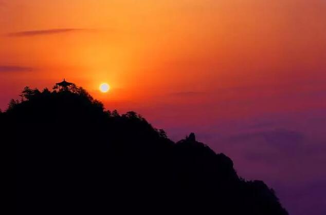 1555309692321072.jpg 1555309692321072.jpg