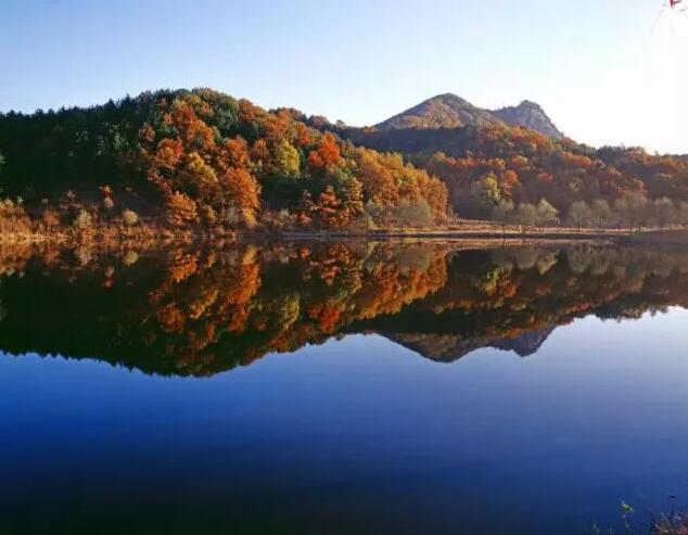 1555314167739932.jpg 1555314167739932.jpg