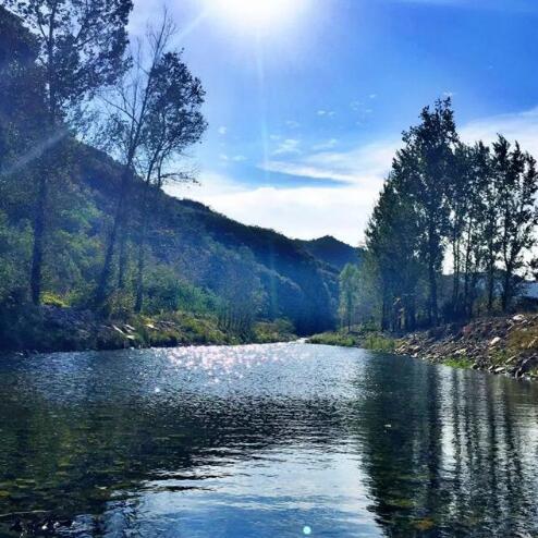 1555314243325797.jpg 1555314243325797.jpg