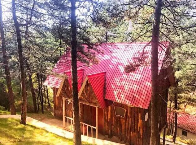 1555314331181609.jpg 1555314331181609.jpg