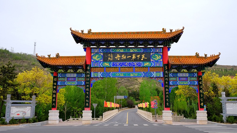 1619665984222528.jpg DSCF4304.JPG