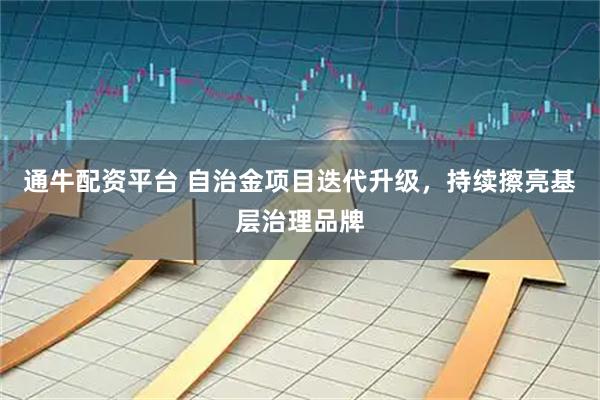 通牛配资平台 自治金项目迭代升级，持续擦亮基层治理品牌