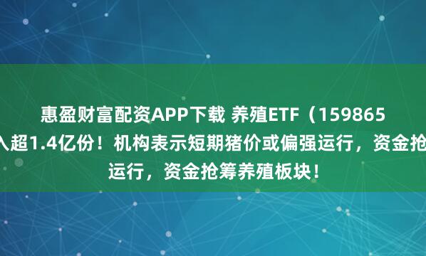 惠盈财富配资APP下载 养殖ETF（159865）盘中净流入超1.4亿份！机构表示短期猪价或偏强运行，资金抢筹养殖板块！