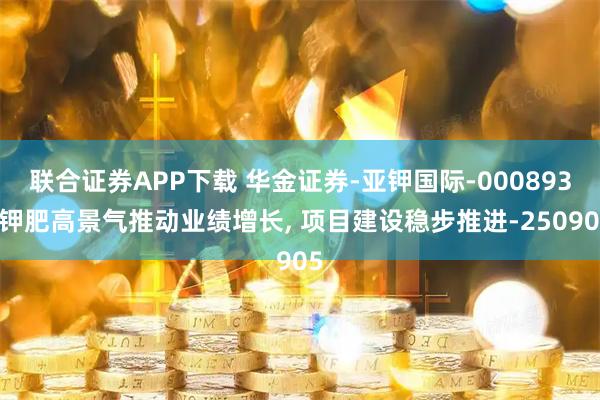 联合证券APP下载 华金证券-亚钾国际-000893-钾肥高景气推动业绩增长, 项目建设稳步推进-250905